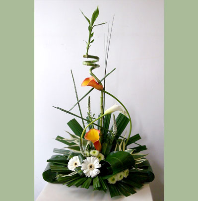 Occasion Florist in Bolton Arrangements from £15.00